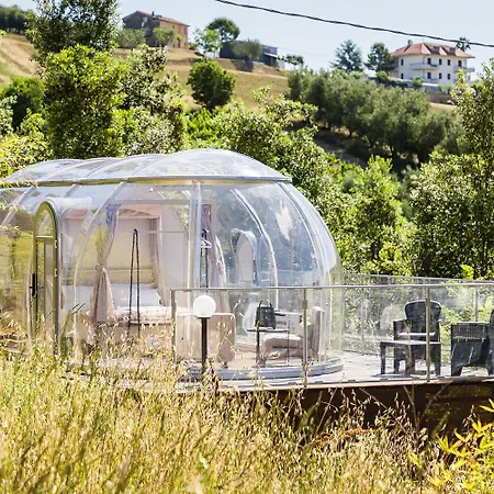 Bubble Perseus Monsampolo Del Tronto